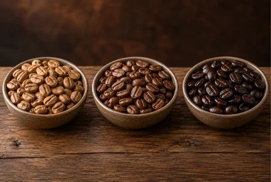 Light vs Medium vs Dark Roast Coffee: What's the Difference?