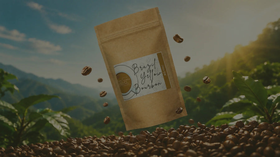 Light Roast