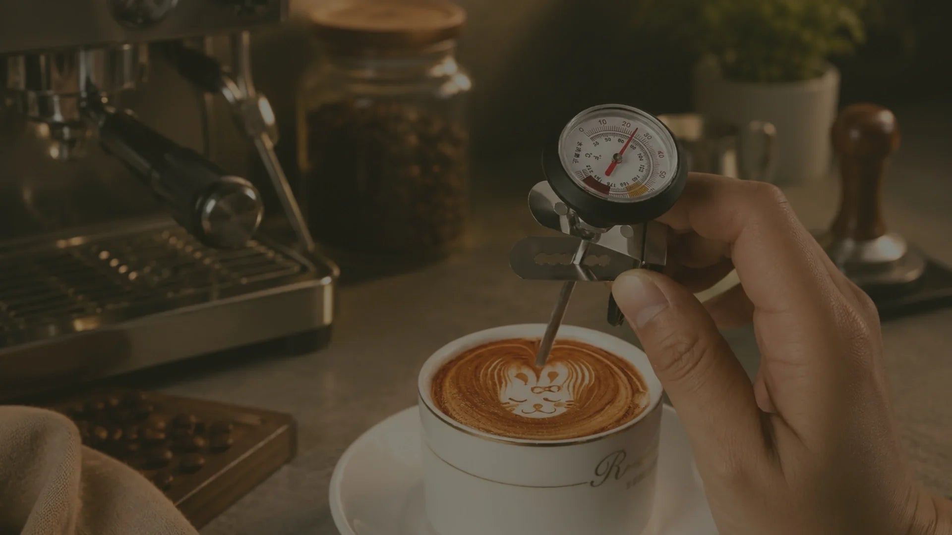 Coffee Tampers