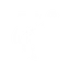 Plunger